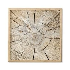 Lisa Argyropoulos Wood Cut Bamboo Framed Wall Art - Deny Designs -Deny Designs Shop GUEST 130dd373 4286 4b79 b897 c65a04229e7c
