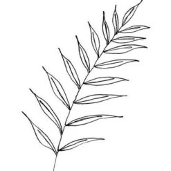 Kris Kivu Botanical Line Art Ink Leaf Shower Curtain White - Deny Designs -Deny Designs Shop GUEST 24a690a8 e50b 4765 a8b1 ad52df1724d1