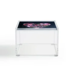 Stephanie Corfee Heart Aflutter 4" X 4" Acrylic Box - Deny Designs -Deny Designs Shop GUEST 37007fc7 94d5 484d a673 a867d3702713