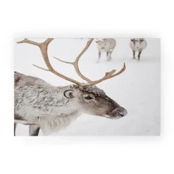 Henrike Schenk Travel Photography Reindeer With Antlers Art Print Tromso Norway Animal Snow Photo Welcome Mat - Society6 11 Henrike Schenk Travel Photography Reindeer With Antlers Art Print Tromso Norway Animal Snow Photo Welcome Mat - Society6 -Deny Designs Shop GUEST 3ae5afca 8840 4ce4 8a57 16634c724e3e