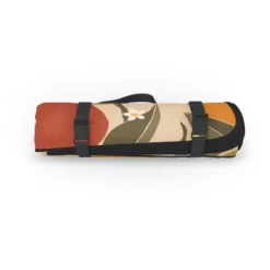 Cuss Yeah Designs Abstract Mangoes Picnic Blanket - Deny Designs