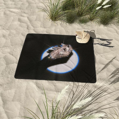 Samantha Hearn Vintage Shiny Disco Hand Picnic Blanket - Deny Designs 4 Samantha Hearn Vintage Shiny Disco Hand Picnic Blanket - Deny Designs - Image 2