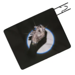 Samantha Hearn Vintage Shiny Disco Hand Picnic Blanket - Deny Designs 7 Samantha Hearn Vintage Shiny Disco Hand Picnic Blanket - Deny Designs -Deny Designs Shop GUEST 7efe4845 0473 4e99 a306 353025e98b9e