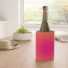 Daily Regina Designs Vintage Colorful Gradient Wine Chiller - Deny Designs -Deny Designs Shop GUEST 7f7eafe4 4b87 46b9 a794 f0f1699393f1