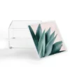 Gale Switzer Agave Flare II Peach Acrylic Box - Deny Designs -Deny Designs Shop GUEST 891268bb 5415 4d56 a217 97ccd06cd2c9