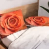 Allyson Johnson Rose Bud Lightweight Pillowcase Standard Orange - Deny Designs 2 Allyson Johnson Rose Bud Lightweight Pillowcase Standard Orange - Deny Designs -Deny Designs Shop GUEST 902c271e f82f 49c6 8198 367348b55289
