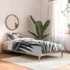 Anita & Bella Art Palm Leaves Dream Comforter Set - Deny Designs -Deny Designs Shop GUEST b625add1 882e 4837 ba00 311cf6c2ce3c