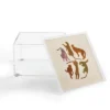 Iveta Abolina Adria Cheetahs 4" X 4" Acrylic Box - Deny Designs 1 Iveta Abolina Adria Cheetahs 4" X 4" Acrylic Box - Deny Designs -Deny Designs Shop GUEST bce0411e 620b 42b1 affe 815c88815ed6