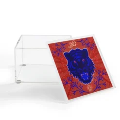 Caroline Okun Bengal Tiger Blue 4" X 4" Acrylic Box - Deny Designs